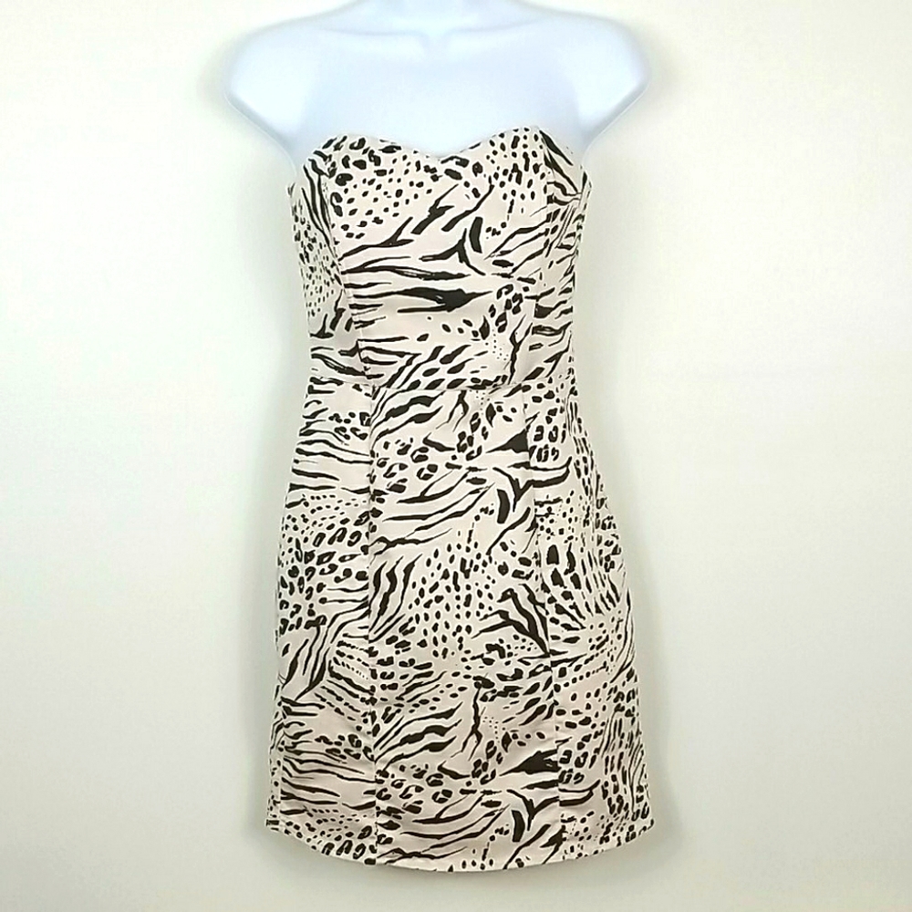 H&M Animal Print Dress